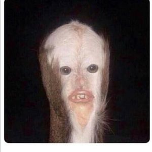 Meet your Posher, Tyler